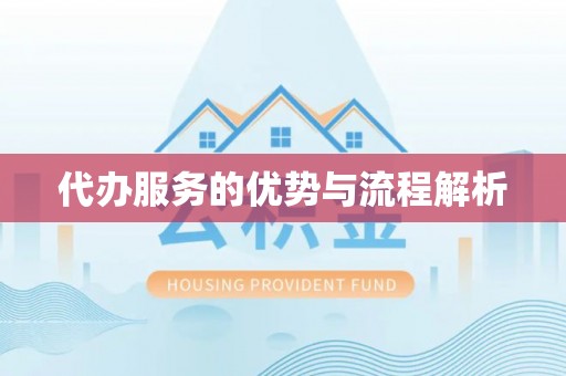 安国代办服务的优势与流程解析