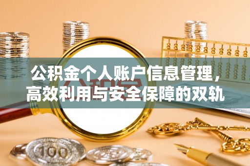 安国公积金个人账户信息管理，高效利用与安全保障的双轨并行