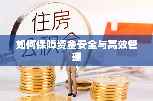 安国如何保障资金安全与高效管理
