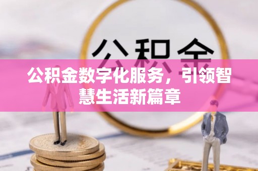 安国公积金数字化服务，引领智慧生活新篇章