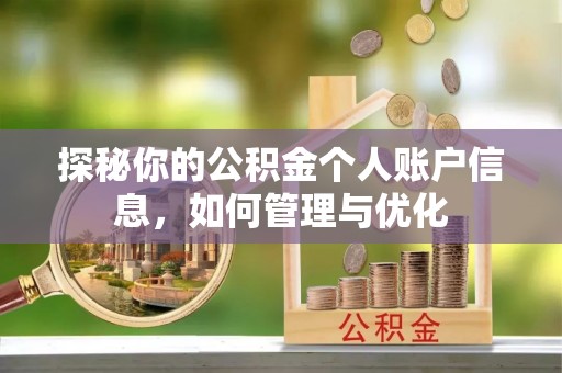 安国探秘你的公积金个人账户信息，如何管理与优化