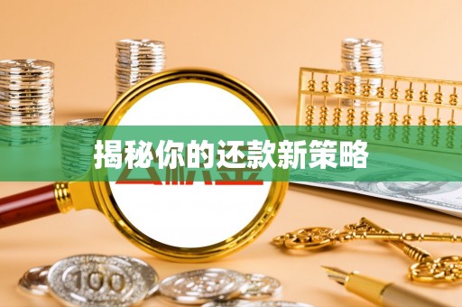 安国揭秘你的还款新策略