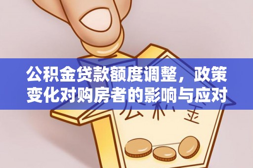 安国公积金贷款额度调整，政策变化对购房者的影响与应对策略