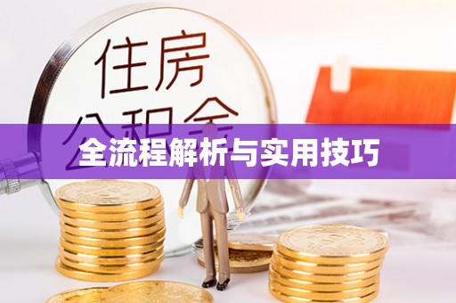 安国全流程解析与实用技巧