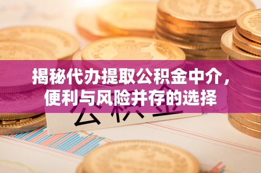安国揭秘代办提取公积金中介，便利与风险并存的选择