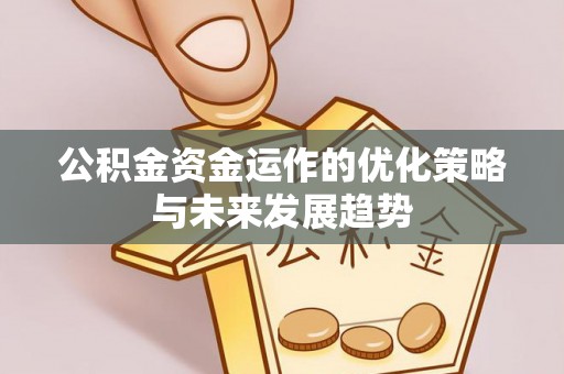 安国公积金资金运作的优化策略与未来发展趋势