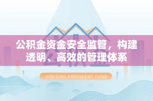 安国公积金资金安全监管，构建透明、高效的管理体系