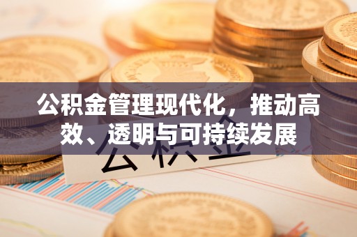 安国公积金管理现代化，推动高效、透明与可持续发展