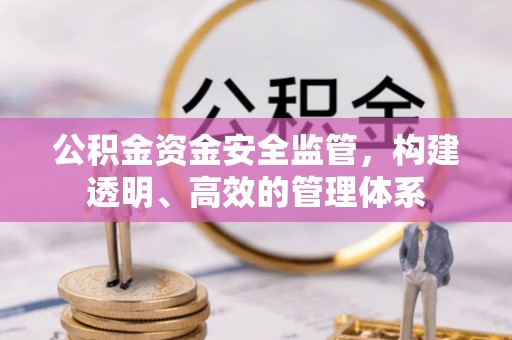 安国公积金资金安全监管，构建透明、高效的管理体系