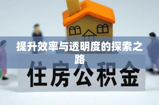 安国提升效率与透明度的探索之路