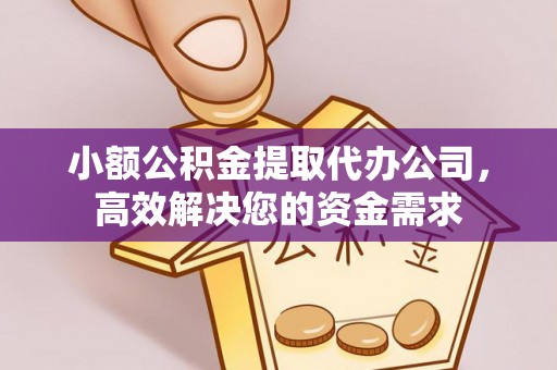 安国小额公积金提取代办公司，高效解决您的资金需求