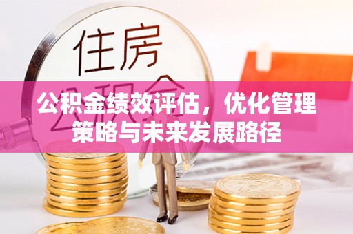 安国公积金绩效评估，优化管理策略与未来发展路径