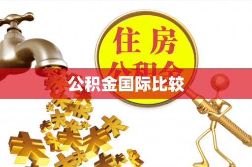 安国公积金国际比较
