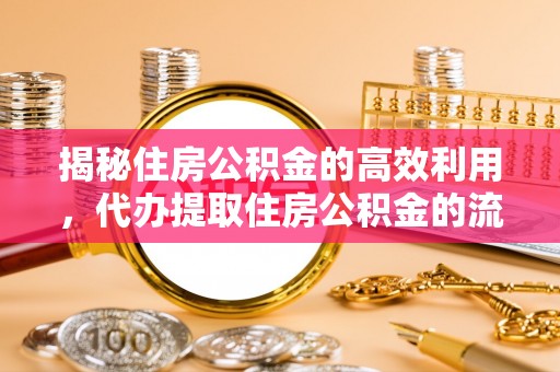 安国揭秘住房公积金的高效利用，代办提取住房公积金的流程与技巧