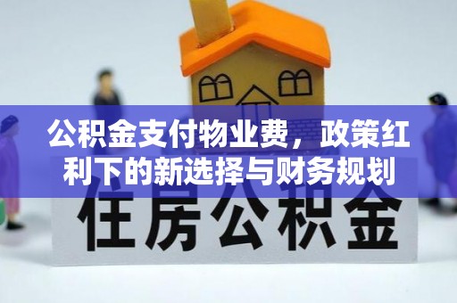 安国公积金支付物业费，政策红利下的新选择与财务规划