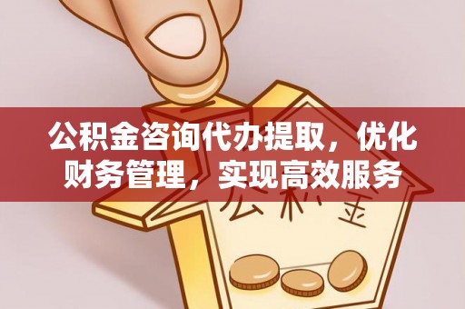 安国公积金咨询代办提取，优化财务管理，实现高效服务