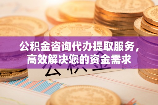 安国公积金咨询代办提取服务，高效解决您的资金需求