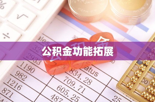 安国公积金功能拓展