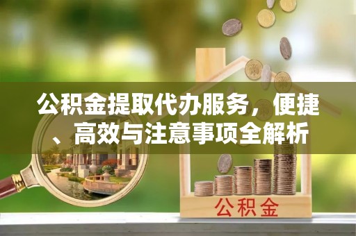 安国公积金提取代办服务，便捷、高效与注意事项全解析