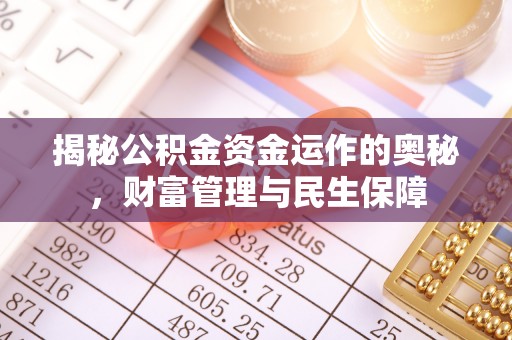 安国揭秘公积金资金运作的奥秘，财富管理与民生保障
