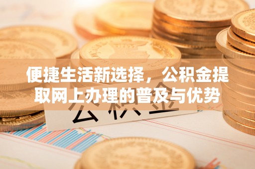 安国便捷生活新选择，公积金提取网上办理的普及与优势