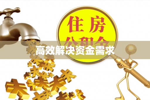 安国高效解决资金需求