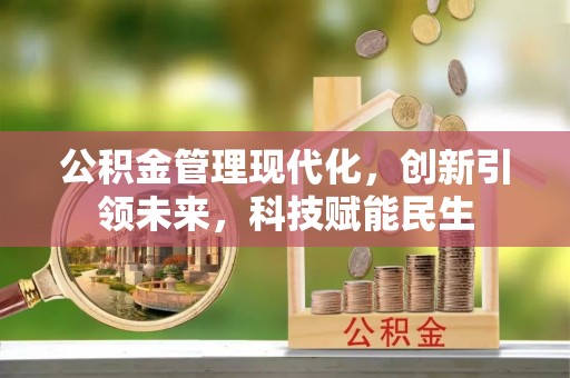 安国公积金管理现代化，创新引领未来，科技赋能民生