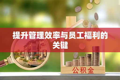 安国提升管理效率与员工福利的关键