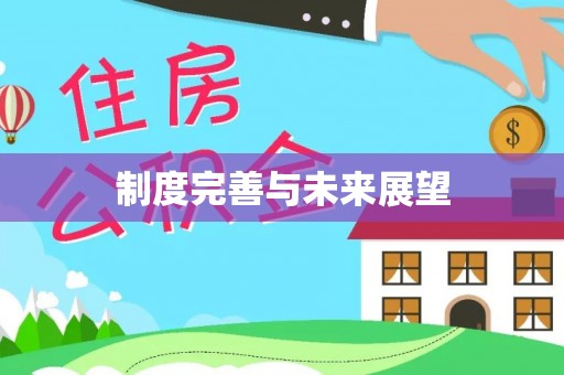 安国制度完善与未来展望