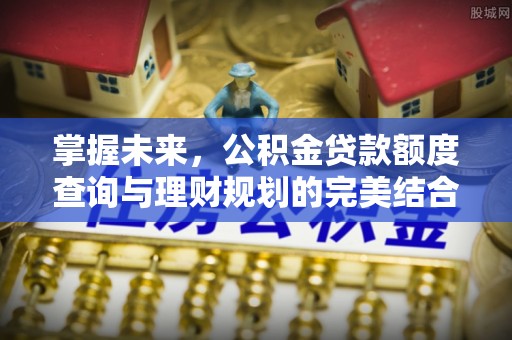 安国掌握未来，公积金贷款额度查询与理财规划的完美结合