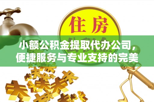 安国小额公积金提取代办公司，便捷服务与专业支持的完美结合
