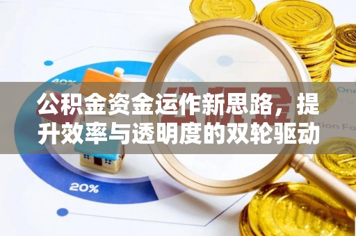 安国公积金资金运作新思路，提升效率与透明度的双轮驱动