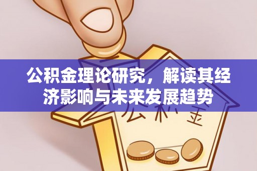 安国公积金理论研究，解读其经济影响与未来发展趋势