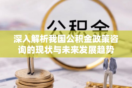安国深入解析我国公积金政策咨询的现状与未来发展趋势