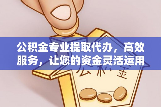 安国公积金专业提取代办，高效服务，让您的资金灵活运用