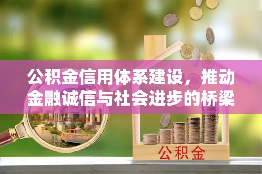 安国公积金信用体系建设，推动金融诚信与社会进步的桥梁