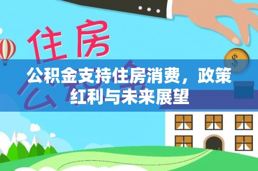 安国公积金支持住房消费，政策红利与未来展望