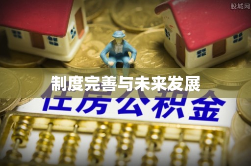 安国制度完善与未来发展
