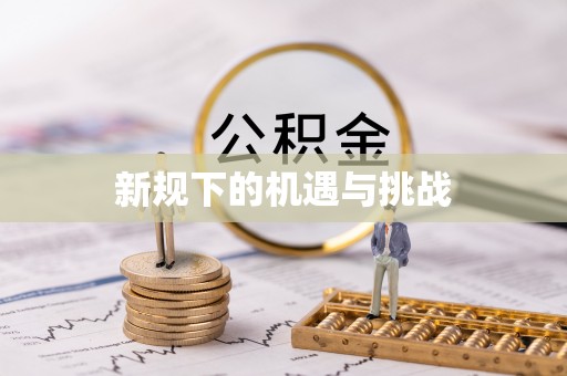 安国新规下的机遇与挑战