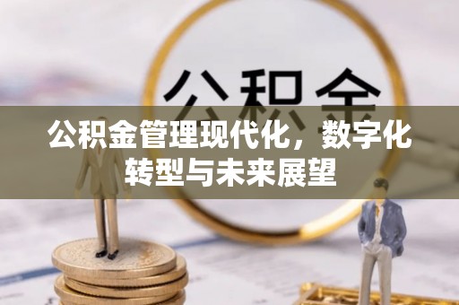 安国公积金管理现代化，数字化转型与未来展望