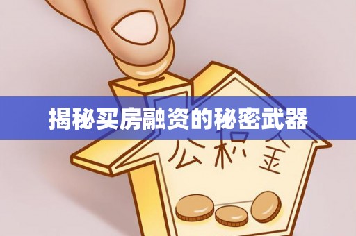 安国揭秘买房融资的秘密武器