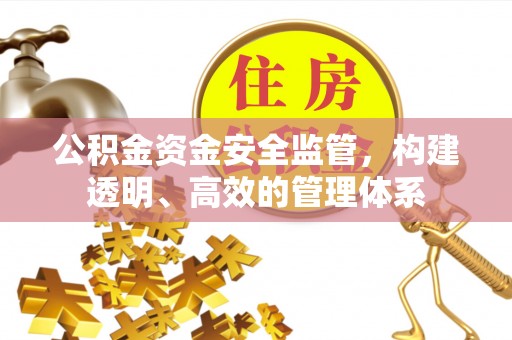 安国公积金资金安全监管，构建透明、高效的管理体系