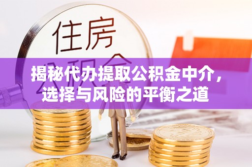 安国揭秘代办提取公积金中介，选择与风险的平衡之道