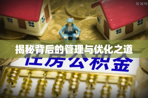 安国揭秘背后的管理与优化之道