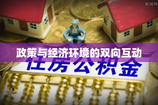 安国政策与经济环境的双向互动