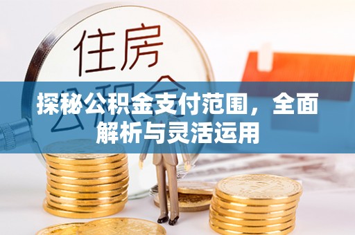 安国探秘公积金支付范围，全面解析与灵活运用