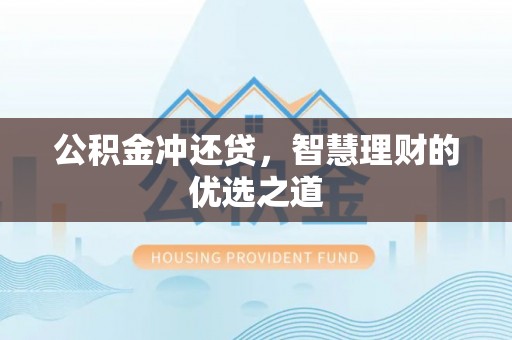 安国公积金冲还贷，智慧理财的优选之道