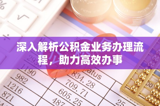 安国深入解析公积金业务办理流程，助力高效办事