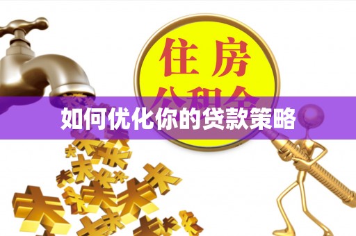 安国如何优化你的贷款策略