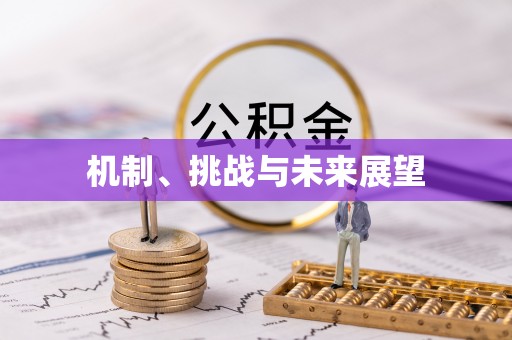 安国机制、挑战与未来展望